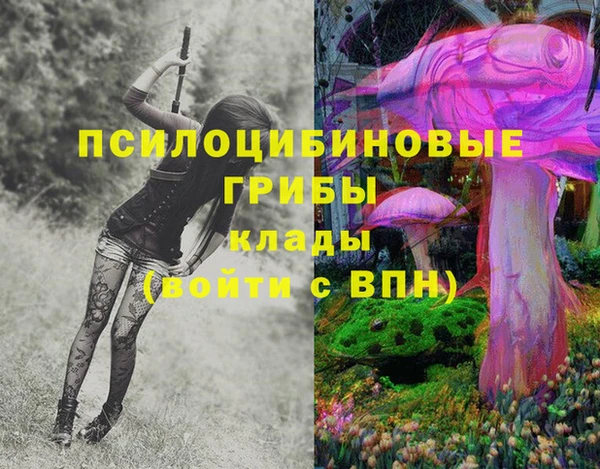 МДМА Алексеевка